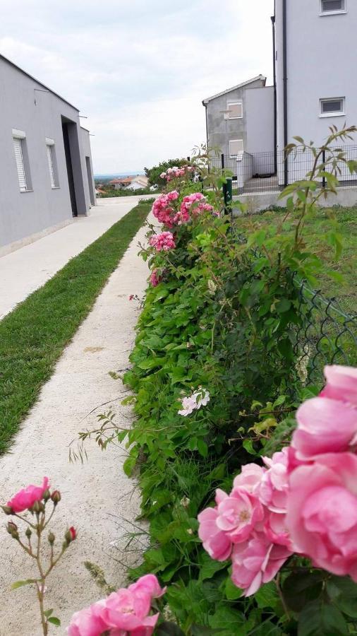 Apartments With A Parking Space Nin, Zadar - 13571 מראה חיצוני תמונה